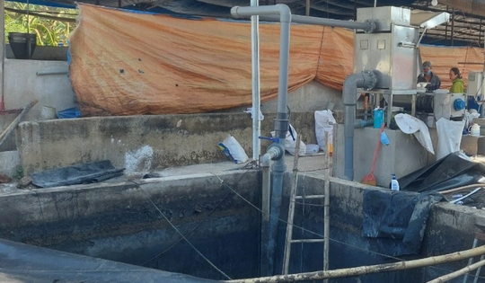 3 người tử vong trong trang trại chăn nuôi