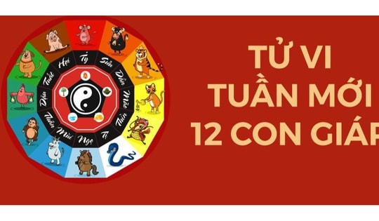 Dự báo chi tiết tử vi tuần mới từ ngày 25/3 - 31/3/2024 về tài lộc, sự nghiệp, tình cảm của các tuổi Tý, Dần, Thìn, Ngọ, Mùi, Thân, Dậu, Tuất, Hợi