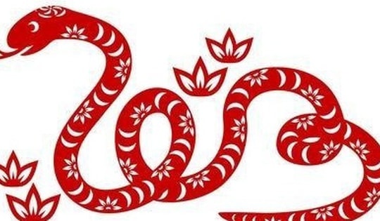 Tử vi tuần mới 25/3 – 31/3: 3 con giáp vận may ghé thăm, hãy nắm bắt cơ hội để phát triển