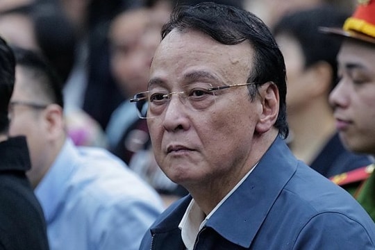 Chủ tịch Tân Hoàng Minh Đỗ Anh Dũng bị tuyên 8 năm tù