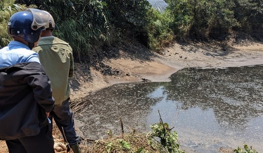 Quảng Trị: Vì sao xảy ra tình trạng cá chết hàng loạt ở khe Rào Trường?