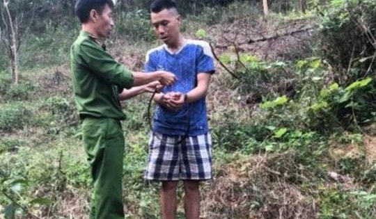 Đã bắt được phạm nhân vượt ngục trốn trong rừng sến Tam Quy