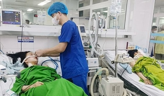 Ăn cơm trưa với 'rau lạ', 2 chị em ở Phú Thọ nguy kịch, phải nhập viện rửa dạ dày