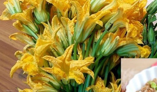 Điểm danh món ngon dễ làm từ bông bí