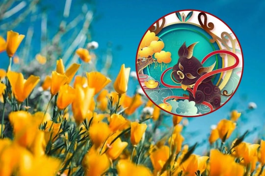 Tử vi tháng 3 Âm: 4 con giáp phúc lành gõ cửa, ngồi không có của