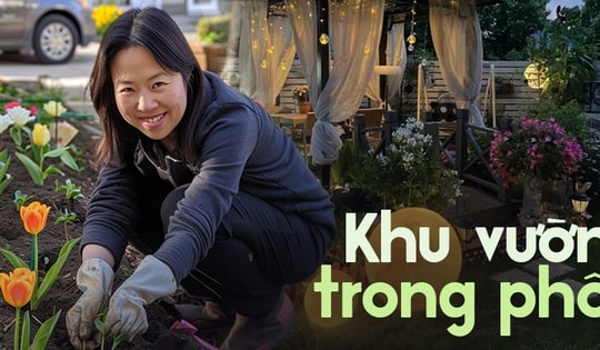 Chẳng cần về quê, cô gái mua một mảnh đất rộng 60m2 chỉ để trồng rau sạch, hoa tươi ngay giữa thành phố