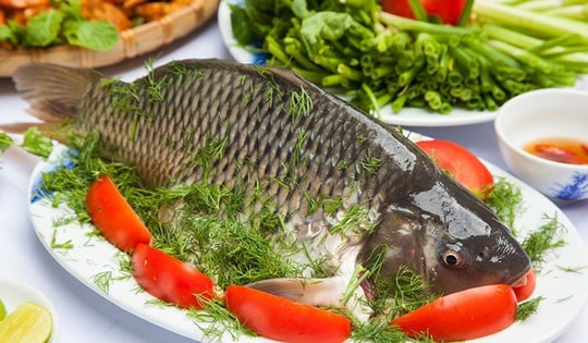 'Giật mình' với công dụng của loài cá phổ biến trên thế giới mà không phải ai cũng biết