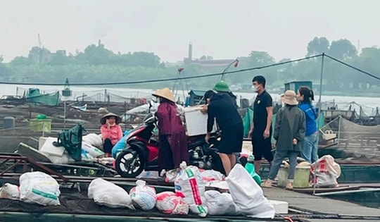 Hàng trăm tấn cá lồng chết ở Hải Dương: Thiệt hại sơ bộ 50 tỷ đồng