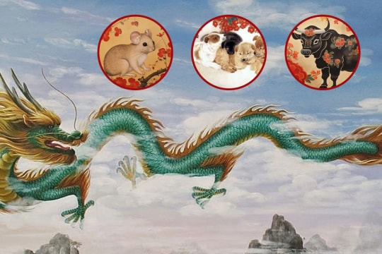 Top 4 con giáp làm việc chăm chỉ sẽ có vận trình tươi sáng và thuận lợi