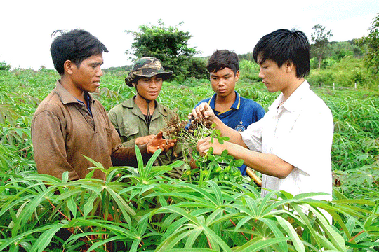 Đề xuất tiêu chuẩn xét thăng hạng viên chức ngành nông nghiệp và phát triển nông thôn