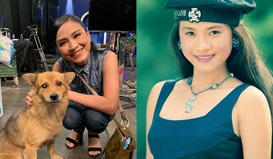 Nữ chính 'Cô gái xấu xí': Mỹ nhân Sài thành nức tiếng, tuổi xế chiều kín tiếng sau biến cố tai nạn và bệnh tật