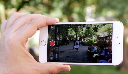 Quay clip ăn thịt chim đăng lên MXH có vi phạm pháp luật không?