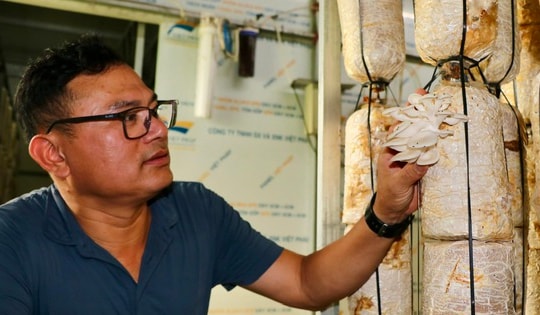 Chiến lược bán hàng độc đáo của ông chủ trại nấm: Gần nửa tỷ đồng doanh thu mỗi năm