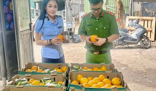 Kinh doanh gần nửa tấn hoa quả có dấu hiệu nhập lậu giữa Thủ Đô