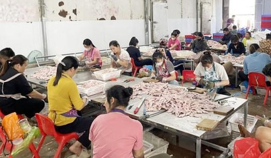 Quảng Ninh: Thu giữ 2 tấn chân vịt không rõ nguồn gốc