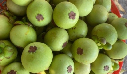 Loạn giá măng cụt xanh đầu mùa, có nơi rao gần 1 triệu đồng/kg