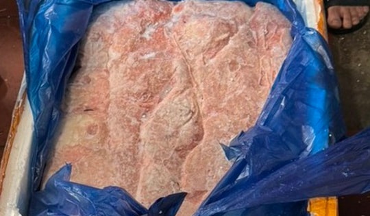 Biết nầm lợn đông lạnh nhiều 'không', tiểu thương vẫn nhập giá rẻ, chứa trữ để bán dần