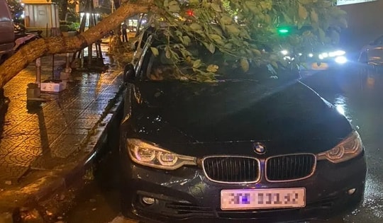 Nhiều xe sang bị cây đổ đè trúng trong trận dông lốc, mưa đá lớn ở Hà Nội