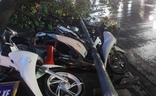 Mưa đá kèm dông lốc trút xuống Hà Nội, cây cối đổ la liệt