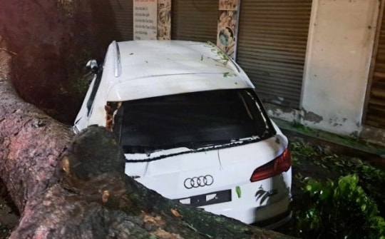 Hà Nội: Dông lốc dữ dội, cây đổ đè trúng xe Audi và Mercedes