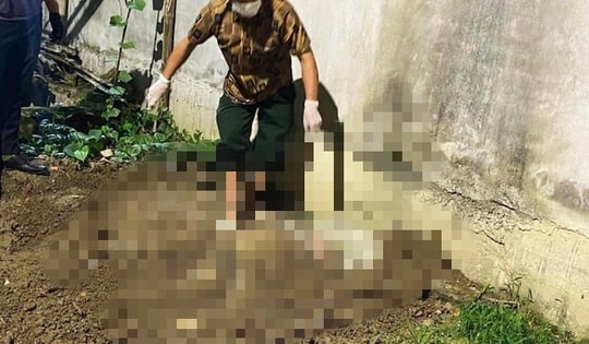 Lời khai nghi phạm 15 tuổi sát hại bạn gái, phi tang trong vườn chuối ở Hải Phòng