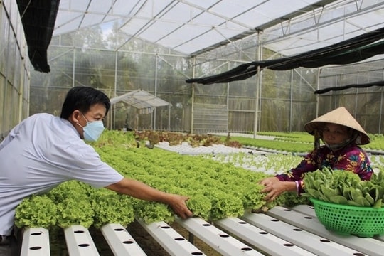 Làm ở Trung tâm Dịch vụ nông nghiệp có còn được phụ cấp nghề?