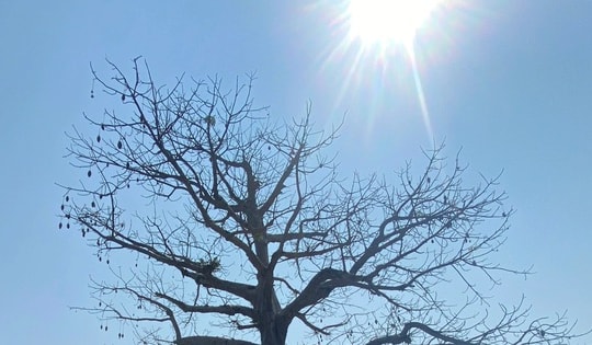 Cụ ông đột quỵ qua đời khi đi tập thể dục trong ngày nóng gay gắt