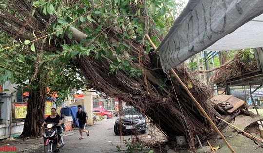 Cảnh 'ngổn ngang' trên đường phố Hà Nội sau trận mưa lớn