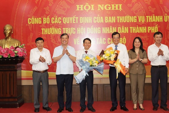 Điều động, bổ nhiệm tân Chánh Văn phòng Đoàn Đại biểu Quốc hội và HĐND