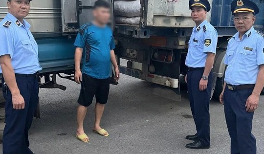 Bắt giữ 21 tấn 'lông cu li' và 'củ ba mươi' không rõ nguồn gốc, xuất xứ