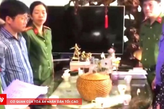 Hai nữ Giám đốc doanh nghiệp mua bán trái phép hóa đơn