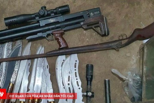 Bị phạt 15 triệu đồng vì tàng trữ vũ khí, súng tự chế