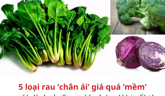 5 loại rau 'chân ái' giá 'mềm' so với dinh dưỡng giúp kéo dài tuổi thọ