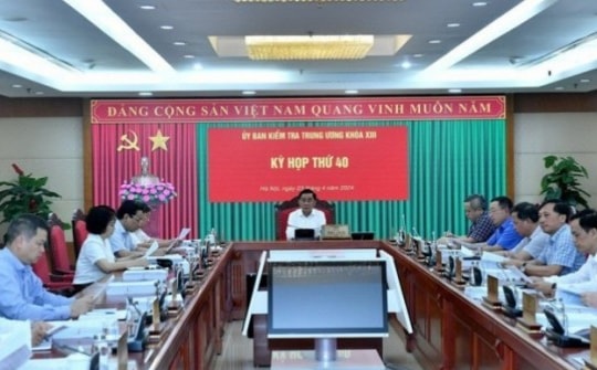 UBKT Trung ương kỷ luật nhiều cán bộ, tổ chức đảng tỉnh Vĩnh Phúc liên quan Phúc Sơn, AIC, FLC