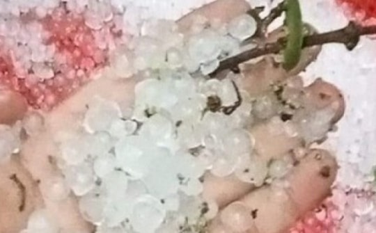 VIDEO: Chuyên gia lý giải về mưa đá khốc liệt vừa qua và dự báo thời tiết dịp 30-4