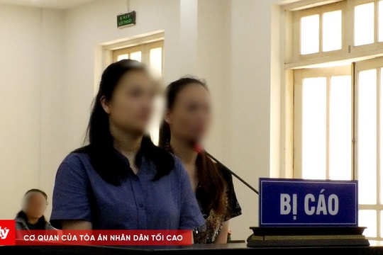 Tổ chức mang thai hộ, hai chị em lĩnh án