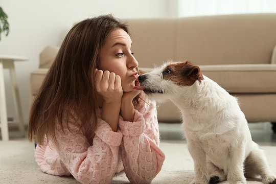 Bạn gái 'cuồng' thú cưng