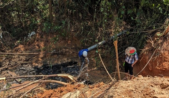 Vụ cá chết hàng loạt ở khe Rào Trường: Xử phạt chủ trang trại heo 155 triệu đồng vì gây ô nhiễm môi trường