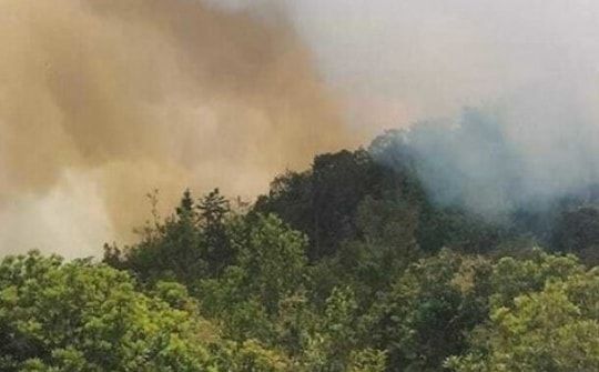 Hai kiểm lâm tử nạn khi chữa cháy rừng Tây Côn Lĩnh