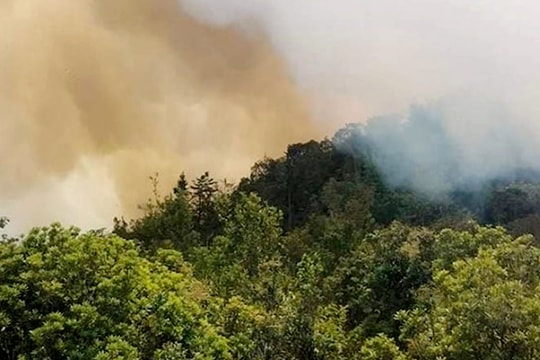 Khẩn trương thực hiện các chế độ với các cán bộ Kiểm lâm bị tử vong khi tham gia chữa cháy rừng