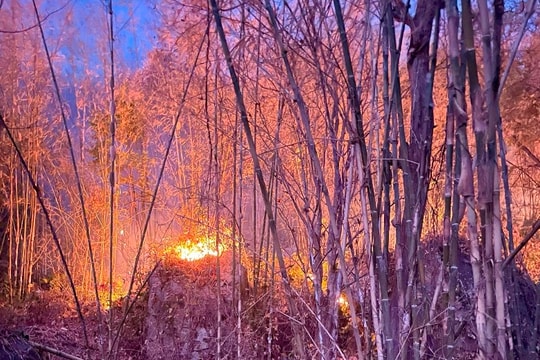 Nguy cơ cháy rừng cực kỳ nguy hiểm: Ban Thường vụ Tỉnh ủy, UBND tỉnh chỉ đạo cấp bách ứng phó