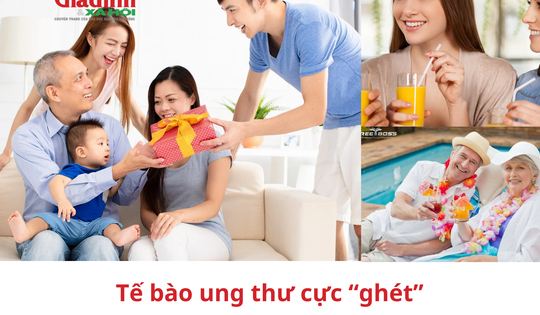 Tế bào ung thư cực 'ghét' 6 nhóm người sau, bạn yên tâm nếu có mặt trong danh sách này