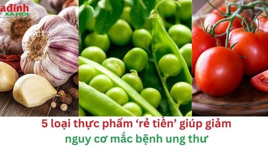 5 loại thực phẩm ‘rẻ tiền’ giúp giảm nguy cơ mắc bệnh ung thư