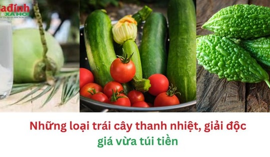 Những loại trái cây thanh nhiệt, giải độc giá vừa túi tiền