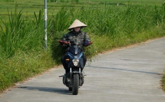 Cụ ông tử vong nghi do sốc nhiệt