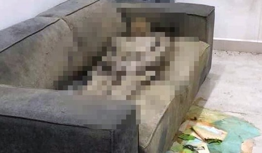 Sáng 29/4: Cô gái tử vong trên Sofa ở Hà Nội bị tháo sim điện thoại, ô tô cá nhân biến mất bí ẩn