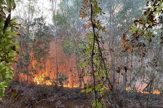 Ứng trực 24/24, sẵn sàng lực lượng chữa cháy rừng và cứu hộ, cứu nạn