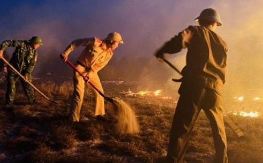 Cháy rừng ven biển ở Quảng Bình dưới nắng nóng gay gắt