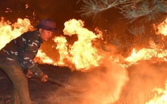 Cháy rừng lớn ở Quảng Bình: Hơn 10 ha rừng ven biển bị thiêu rụi