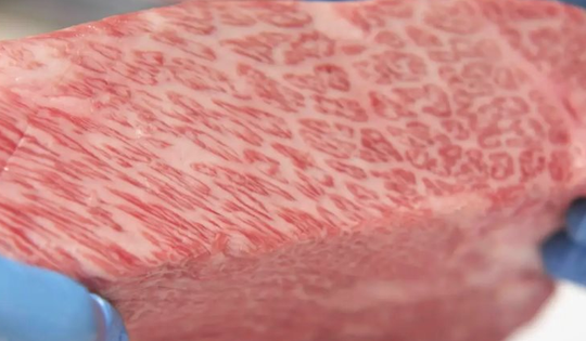 Cùng một tên gọi, chợ Việt Nam chỉ bán vài trăm nghìn, Nhật Bản bán tới 130 triệu/kg, thậm chí mua cả con tốn hơn 8 tỷ đồng: Biết tại sao sẽ phải gật gù ‘đắt xắt ra miếng’